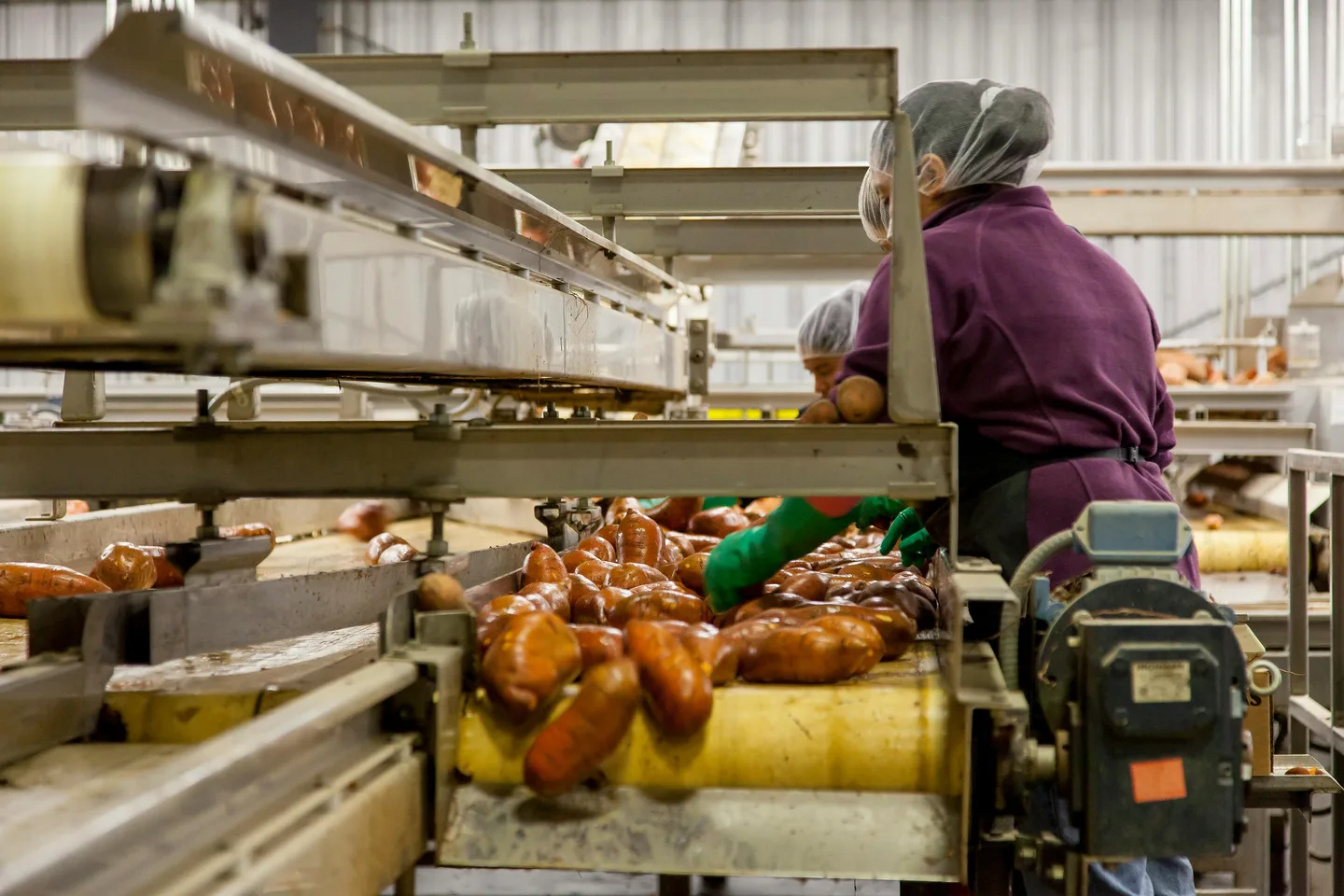 Seasonal worker safety: managing risk with a changing workforce